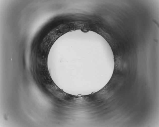 X0000102470430200808291609