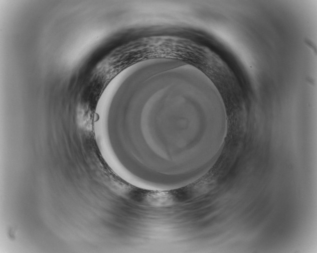 X0000102470431200808291609