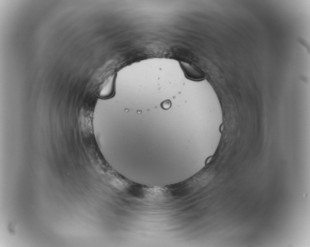 X0000102470432200808291609