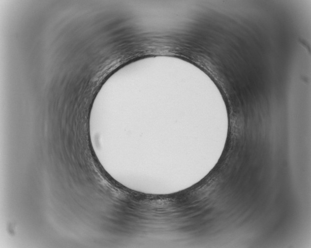 X0000102470433200808291608