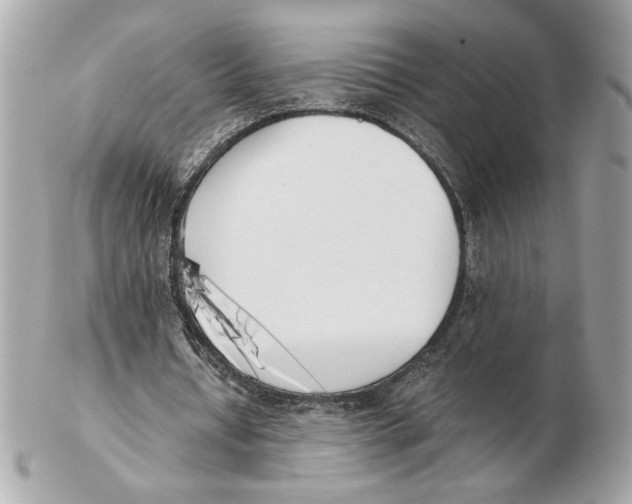 X0000102470434200808291608