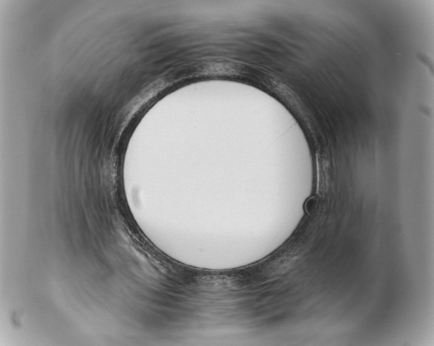 X0000102470435200808291608