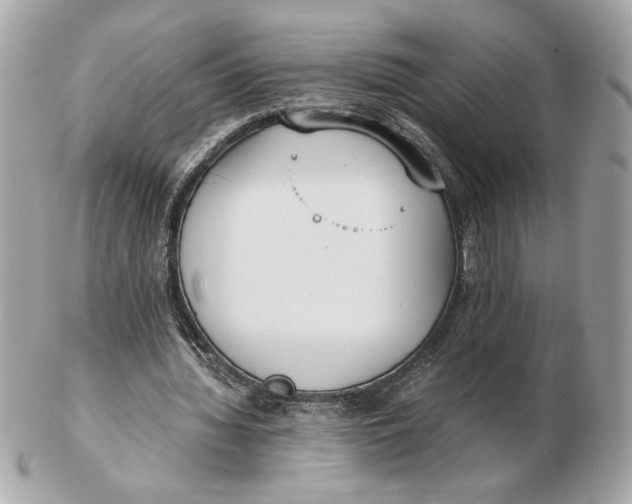 X0000102470436200808291608