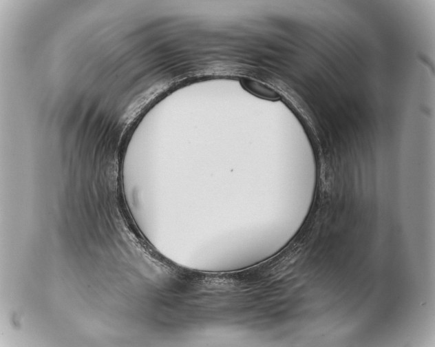 X0000102470437200808291608