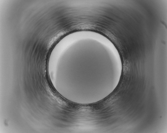X0000102470438200808291608