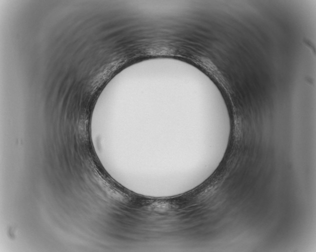 X0000102470441200808291608