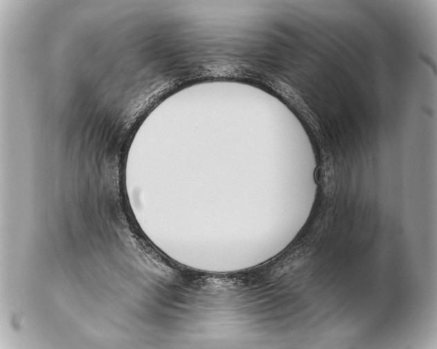 X0000102470442200808291608