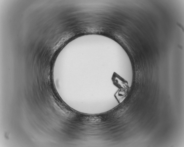 X0000102470443200808291608