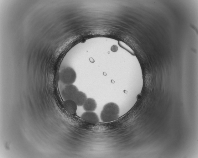 X0000102470444200808291608