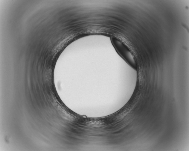X0000102470445200808291608