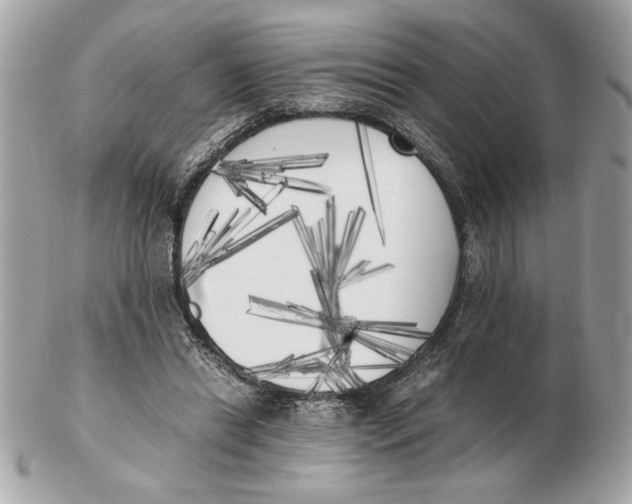 X0000102470446200808291608