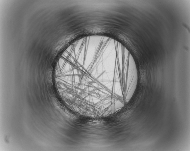 X0000102470447200808291608