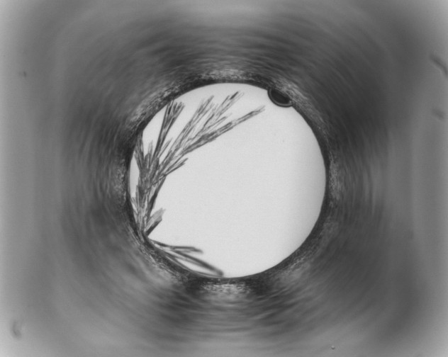 X0000102470449200808291608