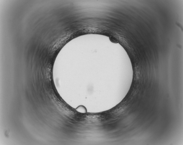 X0000102470450200808291608
