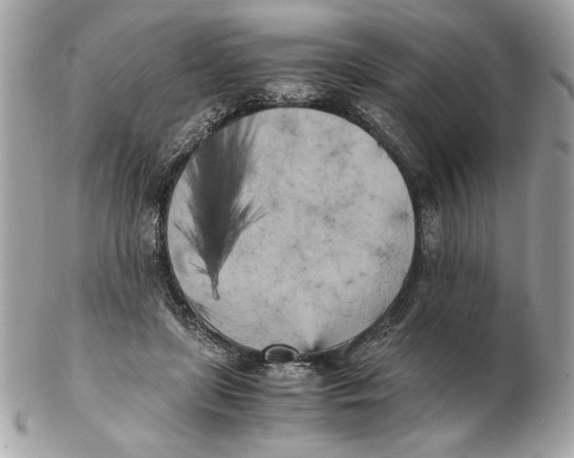 X0000102470451200808291608