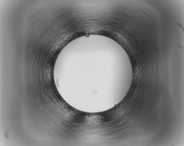 X0000102470452200808291608