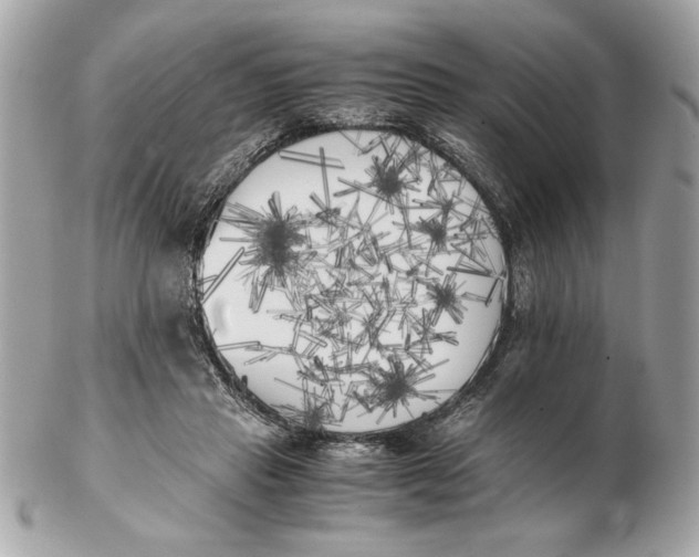 X0000102470453200808291608