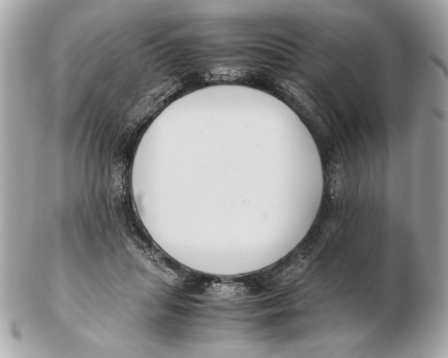 X0000102470455200808291608