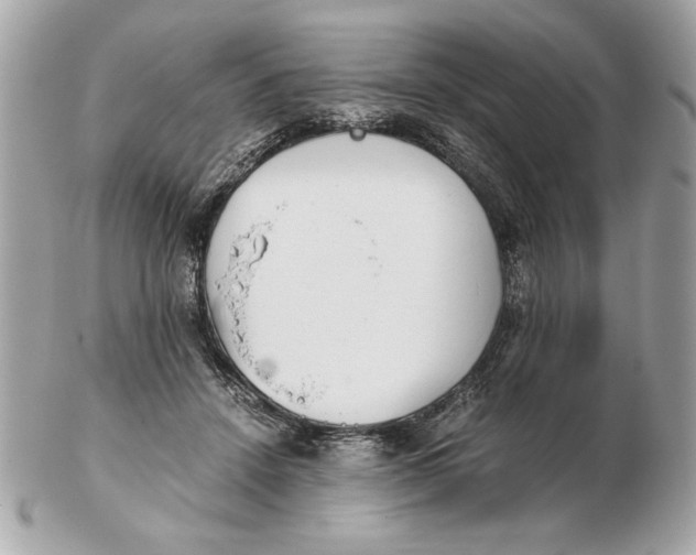 X0000102470456200808291608
