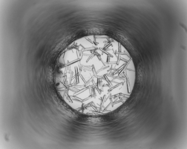 X0000102470457200808291608