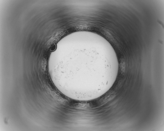 X0000102470458200808291608