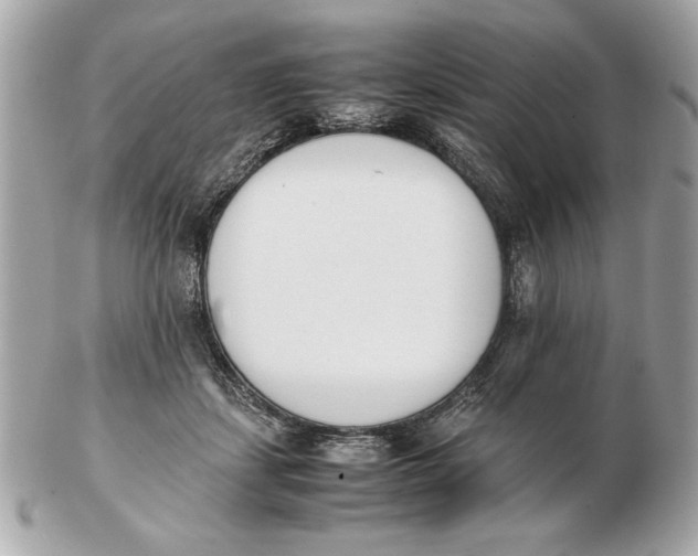 X0000102470459200808291608