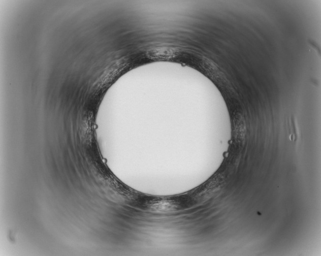 X0000102470460200808291608