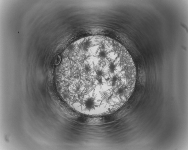 X0000102470461200808291608