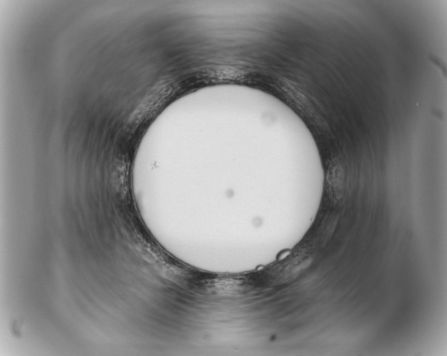 X0000102470462200808291608