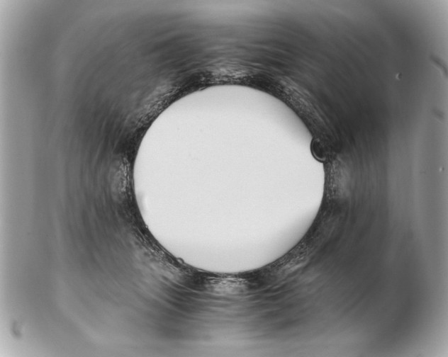 X0000102470463200808291608