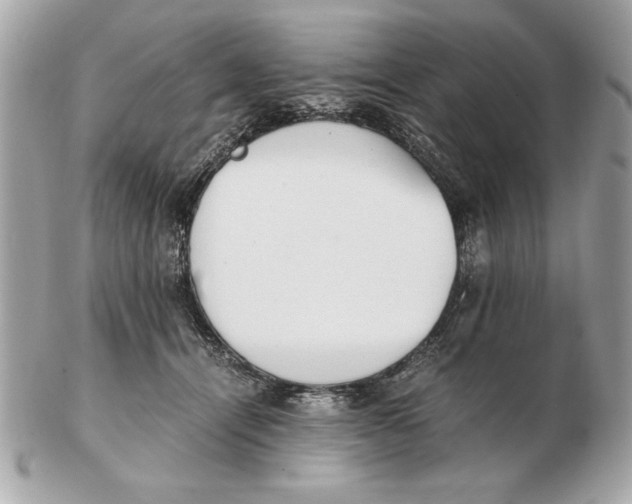 X0000102470464200808291608