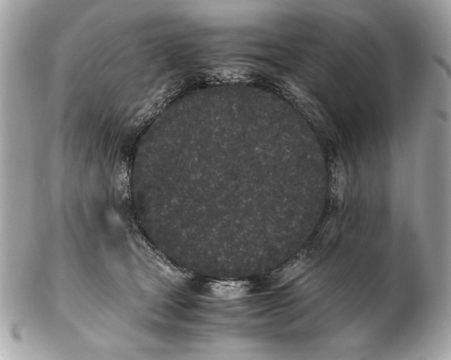 X0000102470465200808291608