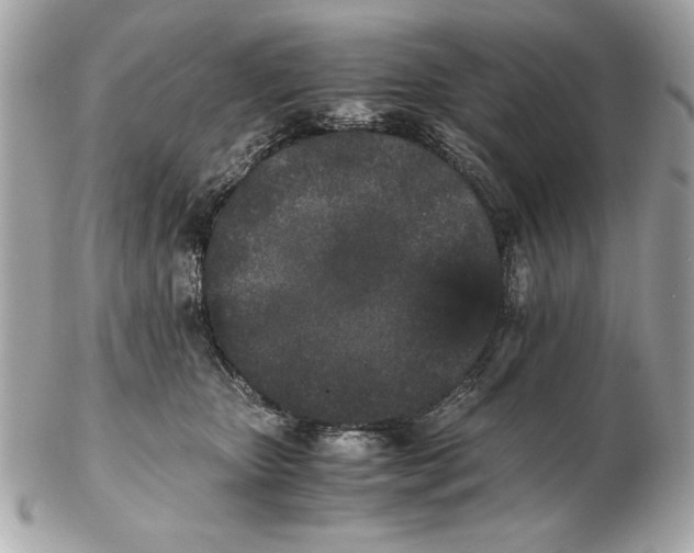 X0000102470467200808291608