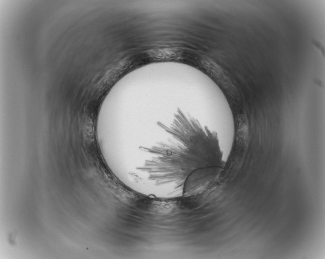 X0000102470469200808291608