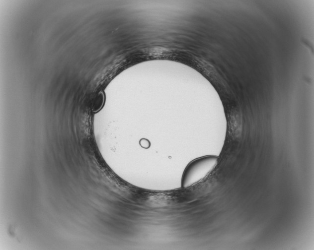 X0000102470470200808291608