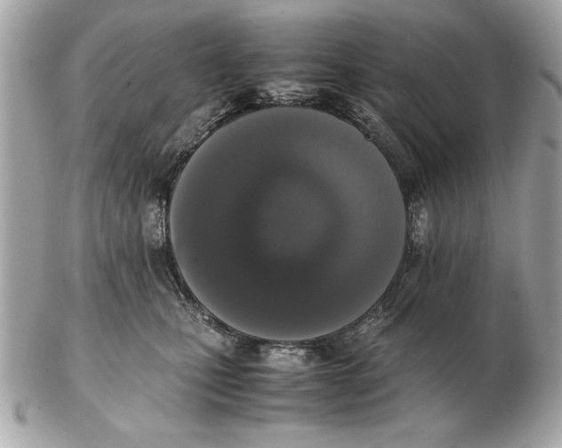 X0000102470471200808291608