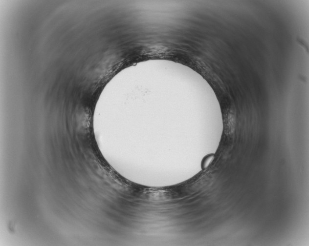X0000102470472200808291608