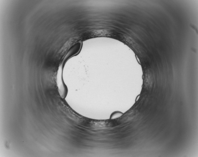 X0000102470473200808291608