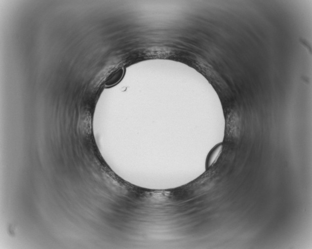 X0000102470474200808291608