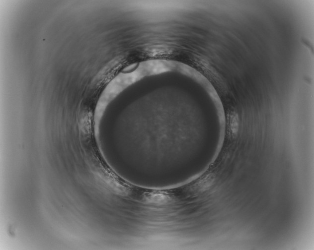 X0000102470475200808291608