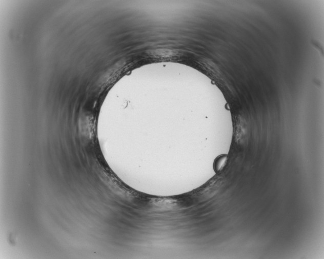 X0000102470476200808291608