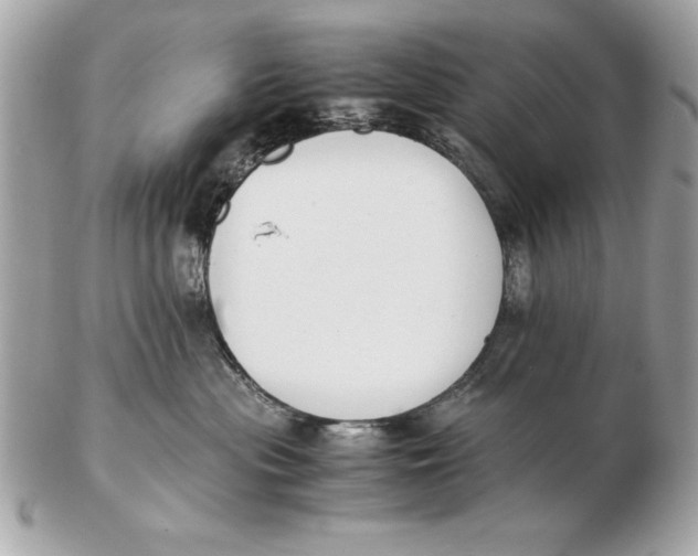 X0000102470477200808291608