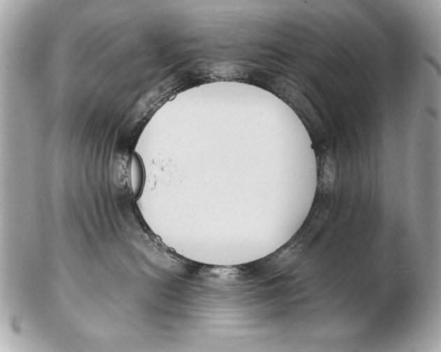 X0000102470478200808291608