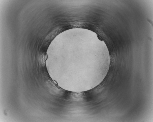 X0000102470479200808291609