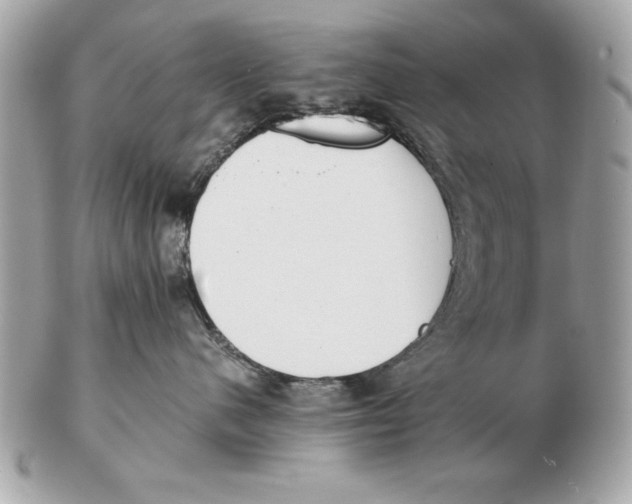 X0000102470480200808291609