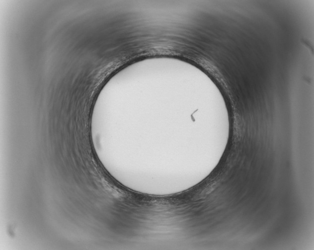 X0000102470481200808291608