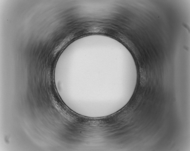 X0000102470482200808291608