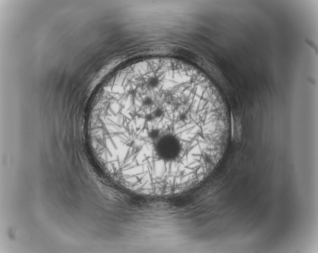 X0000102470483200808291608
