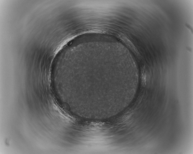 X0000102470484200808291608
