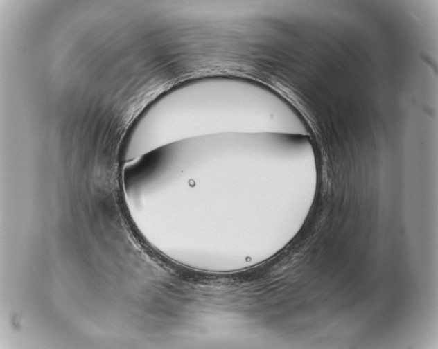 X0000102470485200808291608